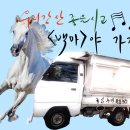 가자