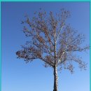 경춘선숲길 이미지