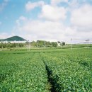 우성상사 이미지