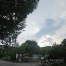 오천주유소 | 도마치 자연그대로 캠핑장 계곡 백패킹 후기