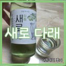 새로 다래 도수, 가격, 파는 곳 내돈내먹 후기 (CU 100원 할인 중)