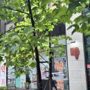 심피부과의원 이미지