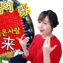 오시온다 이미지