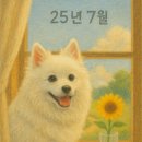 영천시민회관 바닥분 | 25년 7월의 란슈수