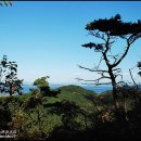 삽시도둘레길 이미지