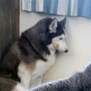 허숙희네 이미지