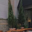 창인리 257-1 도로변 | 울산 소금빵 맛집인 그루브웨이 방문후기