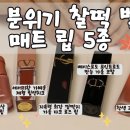 데일리무드