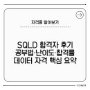 DATABASE ②-ⓐ MySQL | SQLD 합격자 후기 및 공부법 총정리