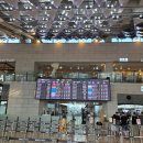 조선소길 | 2박 3일 제주도 여행기 (25년 8월 추억 &amp; 기록용)