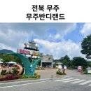 곤충박물관(지하1층 전시실) | 무주 아기랑 가볼만한 곳 무주 반디랜드 곤충박물관부터 동물체험까지