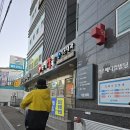 가온동물의료센터 | 강아지 산책 은행나무 낙엽 조심! 발바닥 포피염 (창원 동물병원 가온동물의료센터)