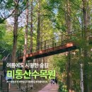 미동산수목원 "숲길" 트레킹해요.- 8월 15일(광복절)- 마감합니다. 이미지