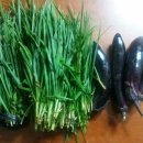 김광연 농장 이미지