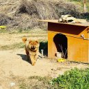 소라초신흥분교장 이미지