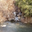 복돼지1 PC 네이버블로그