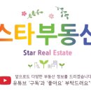 스타공인중개사사무소 이미지