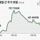 강성부 손탄 DB하이텍, 외국인이 안사는 유일한 반도체주... 공매도도 급증 이미지