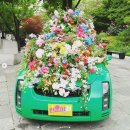 왕왕뽑기왕 이미지