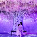 플라워아트 작품 제작 이미지