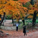 만추 - 여수시 | 만추