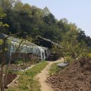 정성철농장 이미지