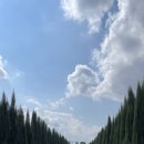 오정막국수 이미지