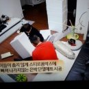 하이마리 이미지