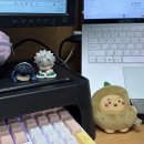 내리그집가자 | 우당탕탕 엉망진창 3월 조각집