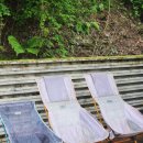 비그로브 그로브 이미지