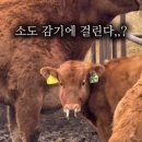 위드미원주이화점 | 2506~2509