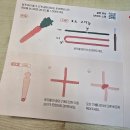 유기견 장난감 만들기 자원봉사 후기 | 당근 로프 장난감 만들기 &amp; 마음을 담은 편지까지