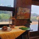 제주 보헤미안 이미지