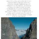 삼성로 이미지