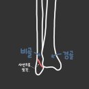 MJ 퍼스널 트레이닝 네이버블로그
