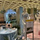 현대백화점 판교점 Mon-Ballet 발레 페어 팝업 다프네로럴 파드샤 워머 쇼츠 피팅 내돈내산 쇼핑 후기