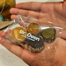 서02-407 | 조용하고 디저트 맛있는 &#39;유어오븐&#39; 카페 추천 (석촌고분역)