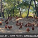 자연농수산 네이버블로그