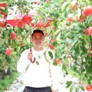 농업회사법인(주)더끌림 헤럴드경제
