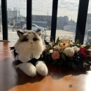 솔빈 마루 이미지