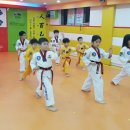 연세효태권도 - 1440 | 연세효태권도