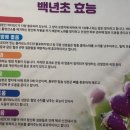 백년초바지락칼국수 이미지