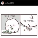 파이드정희 이미지