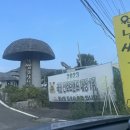 월남쌈김상사본점맛집 | 천안 소노벨맛집 월남쌈김상사 본점 재방문후기 (feat.배터짐주의)