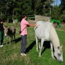 재출농장 | 호주워킹홀리데이 일자리구하기 후기
