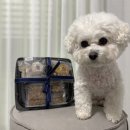 멍도시락 이미지