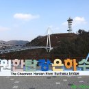 용일