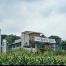 바다향 왕코다리 백운호수점 이미지