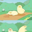 윤윤스튜디오