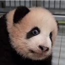 대관령하우스 이미지